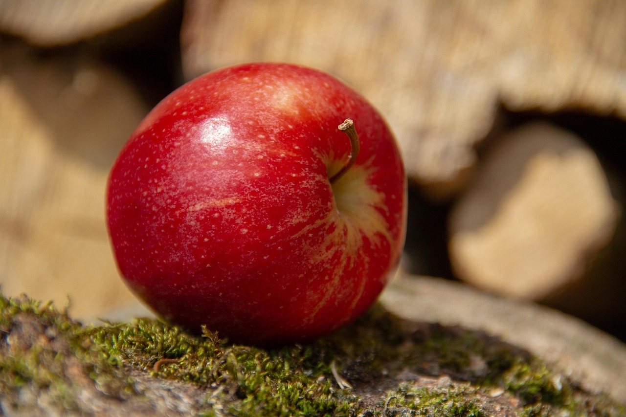 Apples: Crunchy Allies for Youthful Vitality (image credits: pixabay)