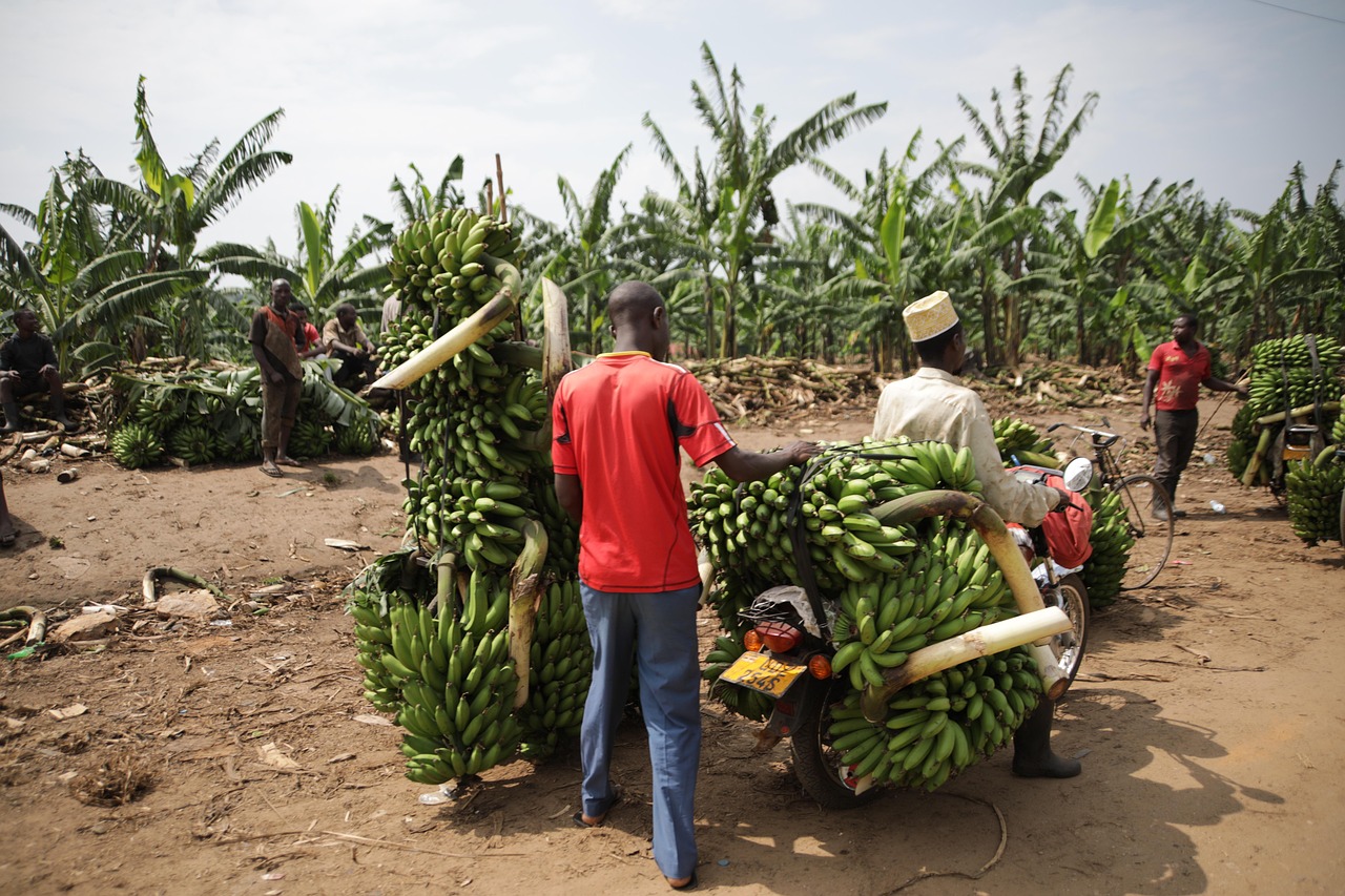 14. The Global Food Trade Is in Flux (image credits: pixabay)