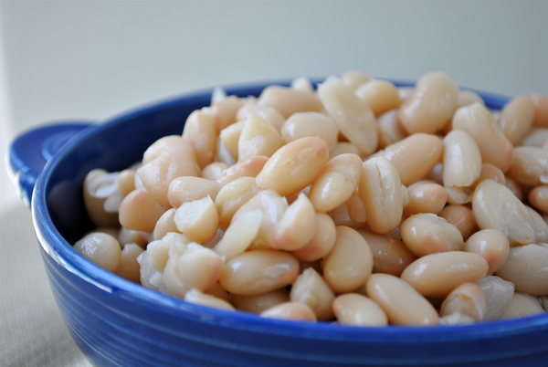 Great Northern Beans (image credits: wikimedia)