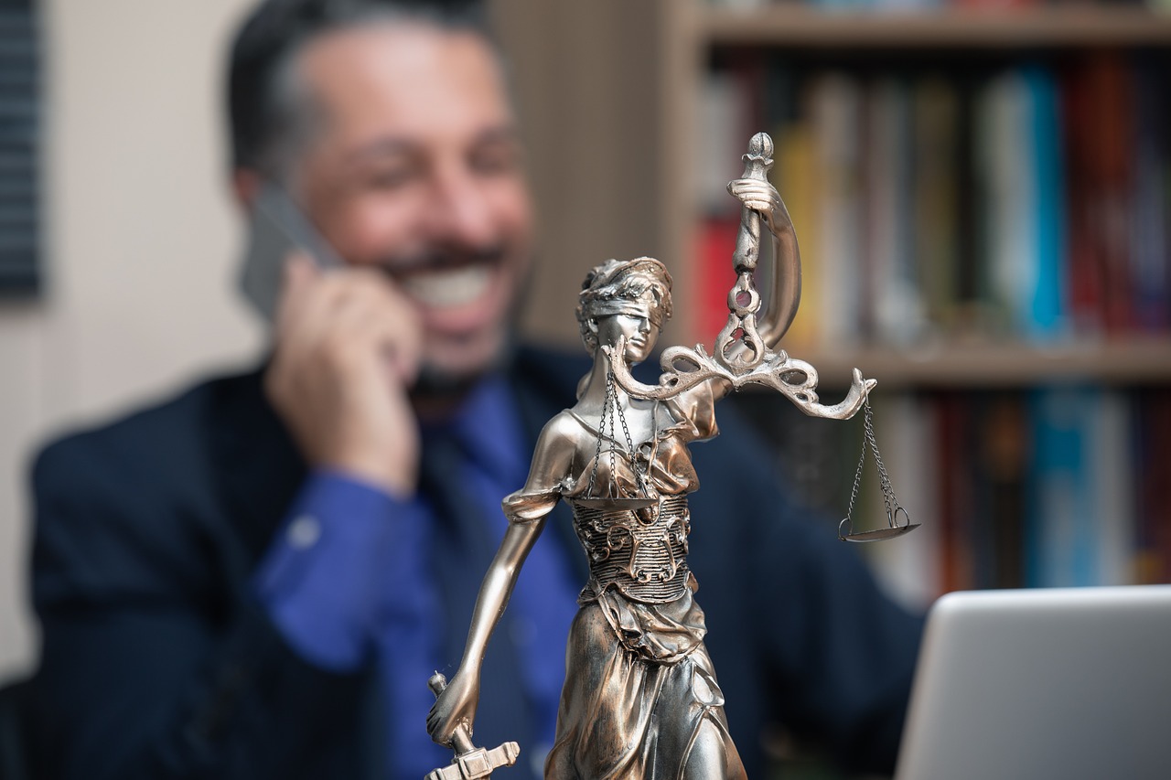 The Role of Policy and Advocacy (image credits: pixabay)