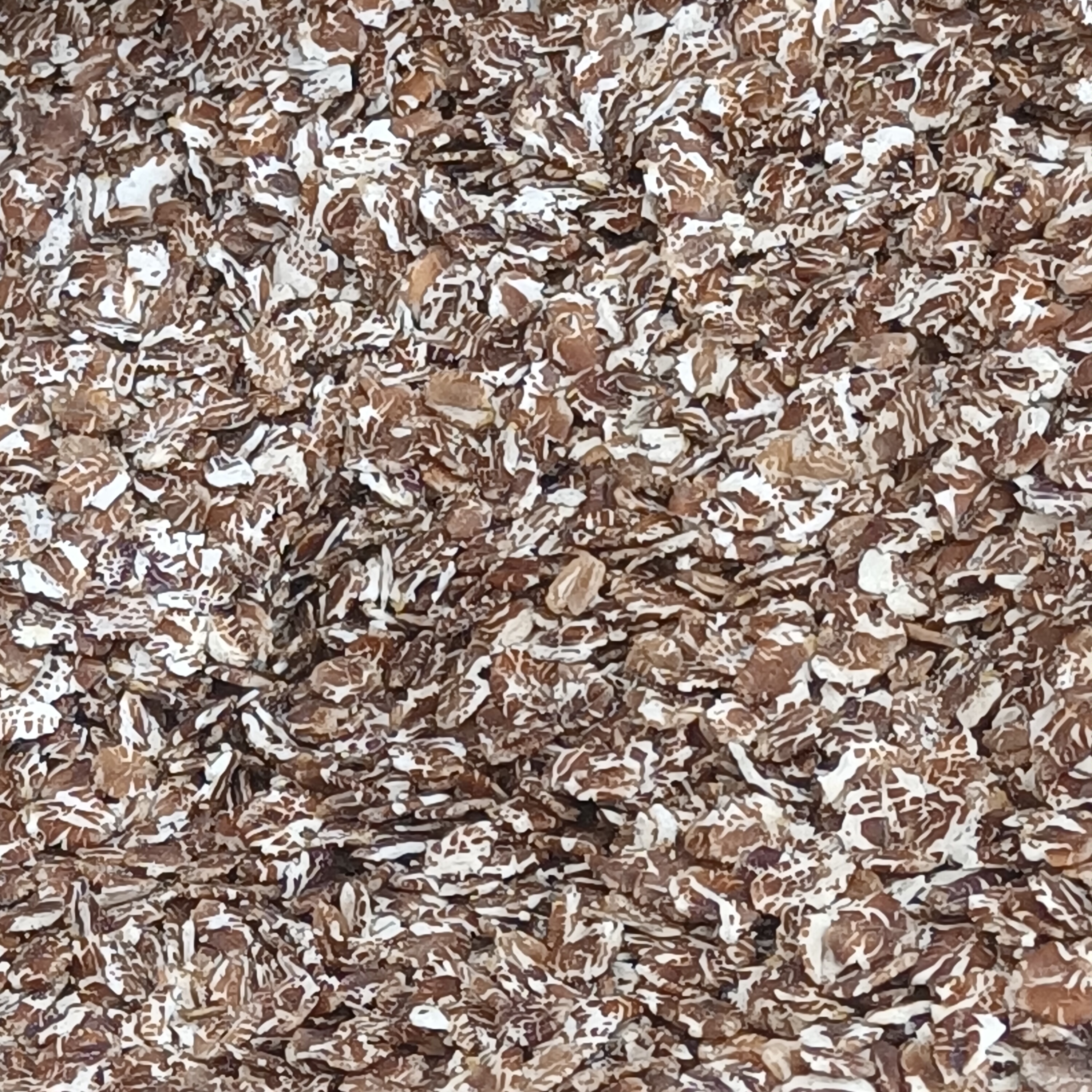 The Health Benefits of Rye: More Than Just a Grain (image credits: wikimedia)