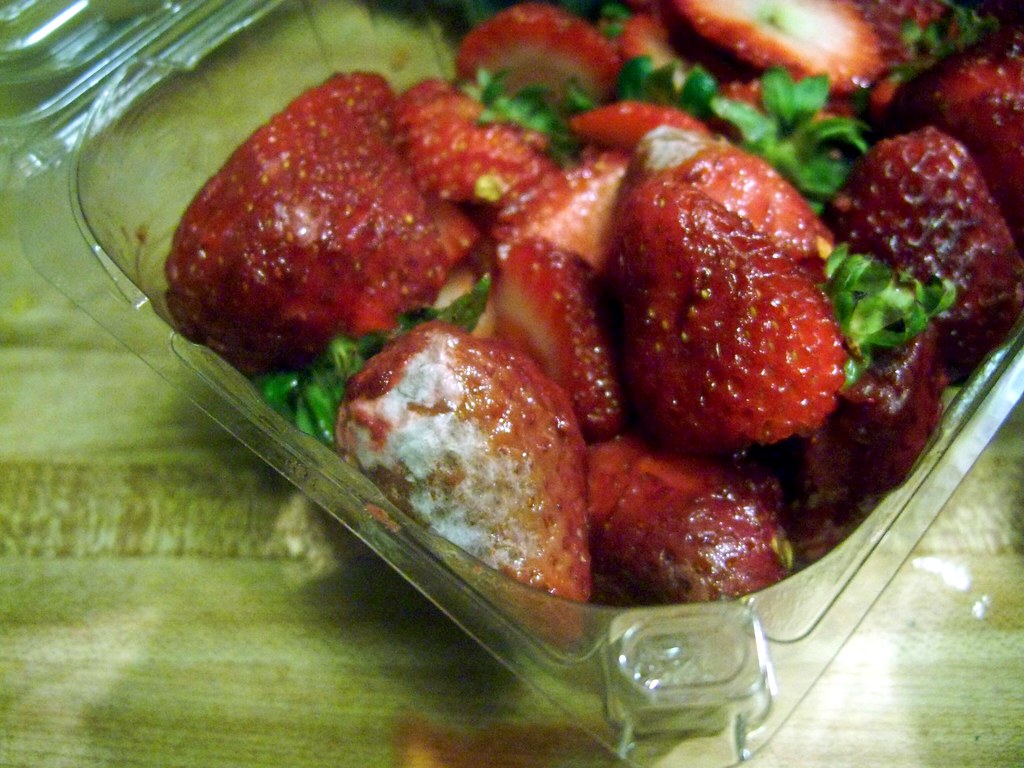 Fresh Berries: The Mold Magnets (image credits: flickr)