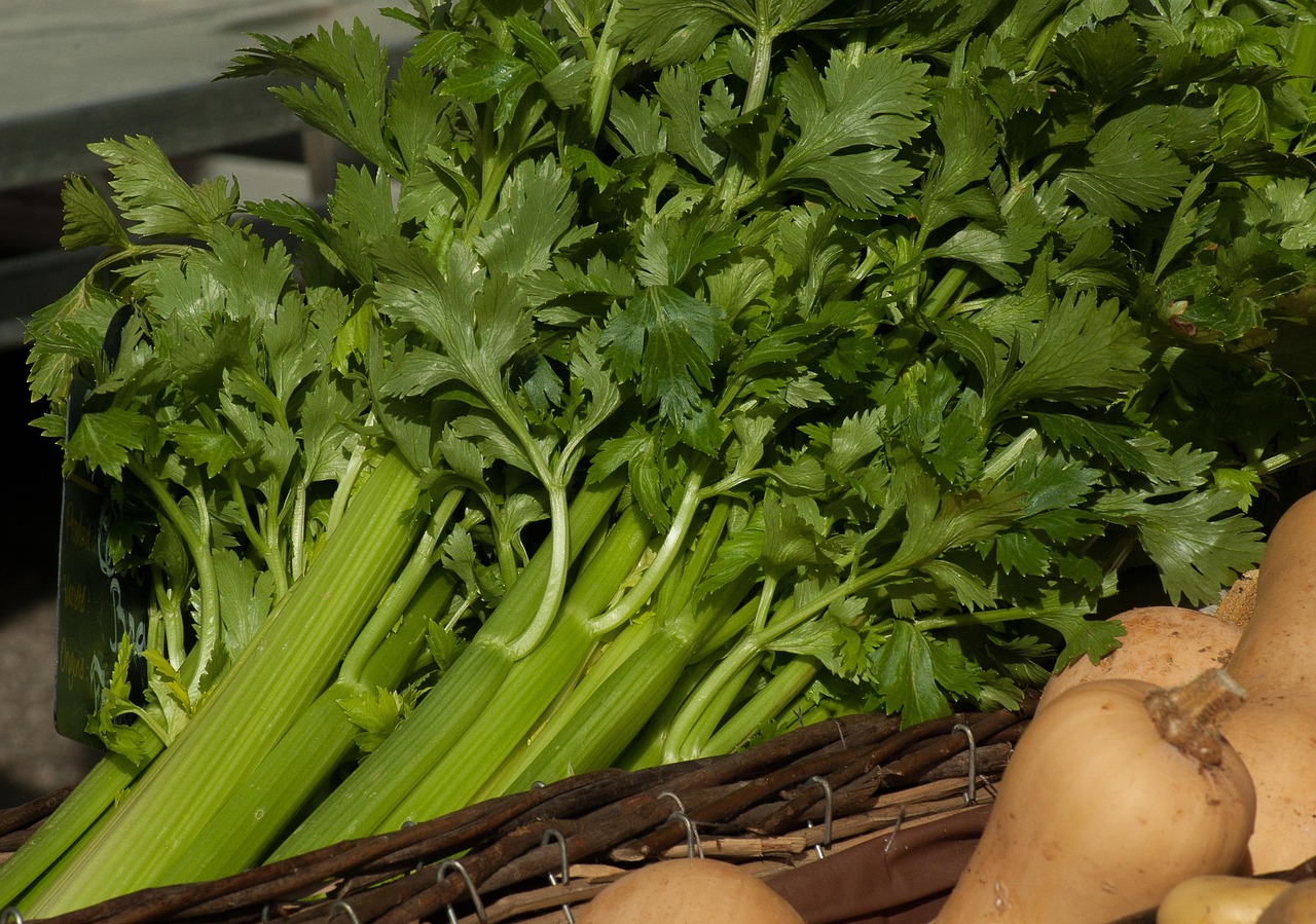8. Celery: The Unsung Hero of Heart Health (image credits: pixabay)