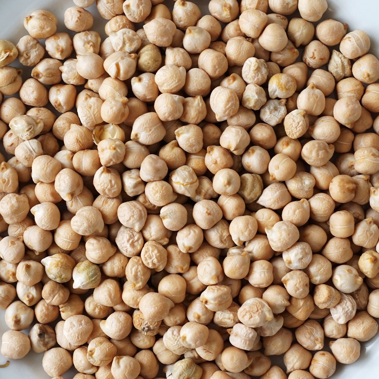 Chickpea Blondies: Plant-Based Powerhouse (image credits: pixabay)