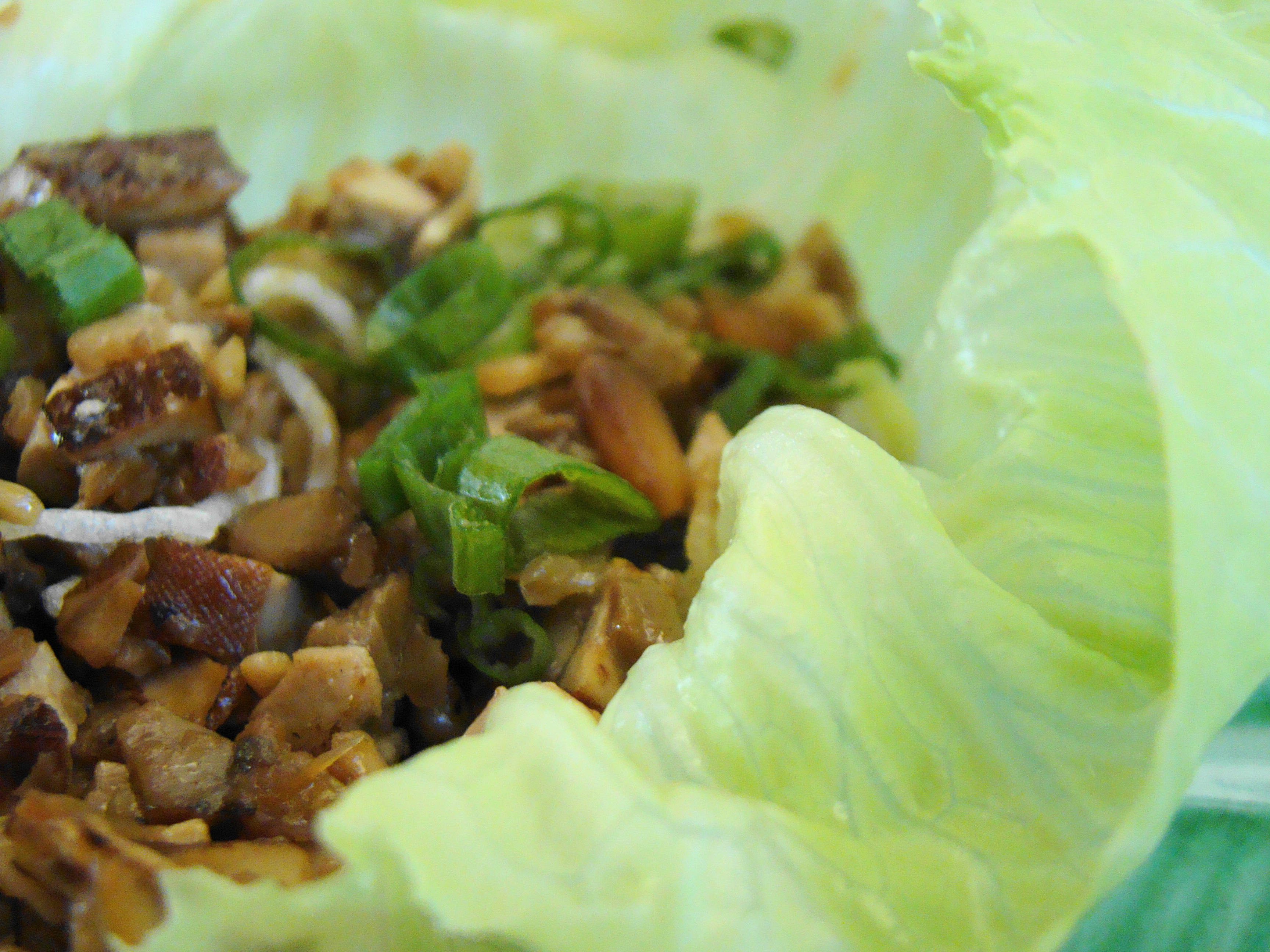 The Ultimate Lazy Girl's Lettuce Wraps (image credits: Lettuce Wraps, CC BY 2.0, https://commons.wikimedia.org/w/index.php?curid=35602592)