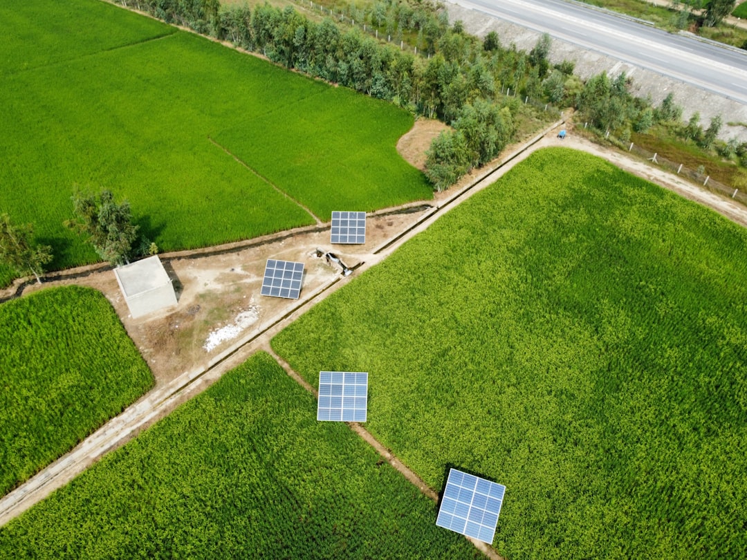 Infrastructure Development Fragments Agricultural Land (image credits: unsplash)