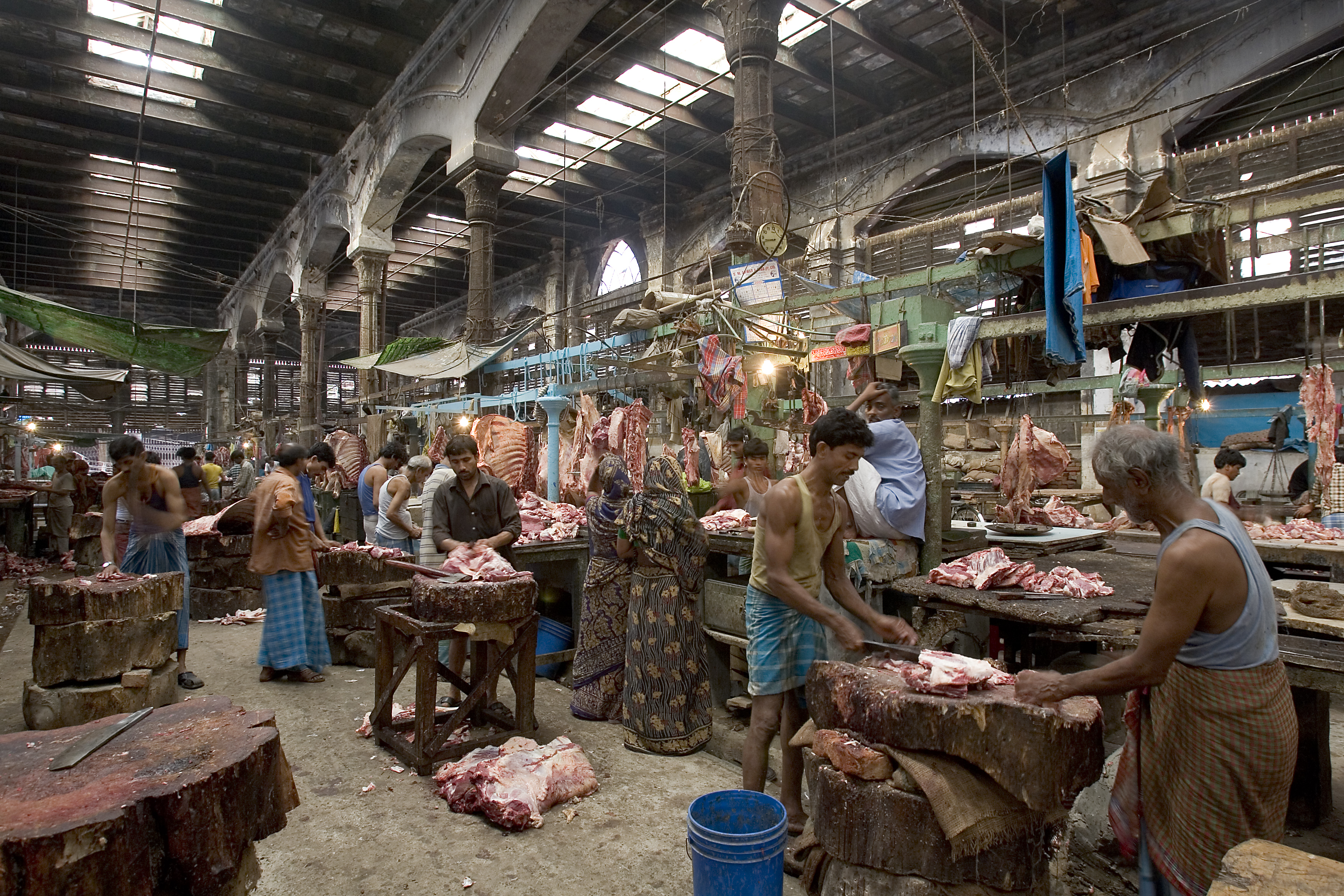 India's Unique Position in the Market (image credits: By Jorge Royan, CC BY-SA 3.0, https://commons.wikimedia.org/w/index.php?curid=19742033)