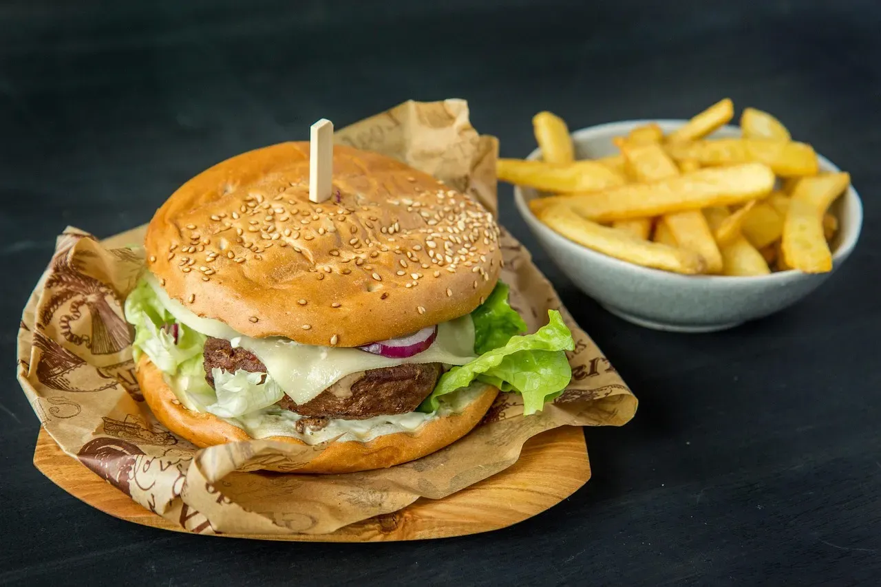 Gemini: Fast Food Burgers and Fries (Image Credits: Pixabay)