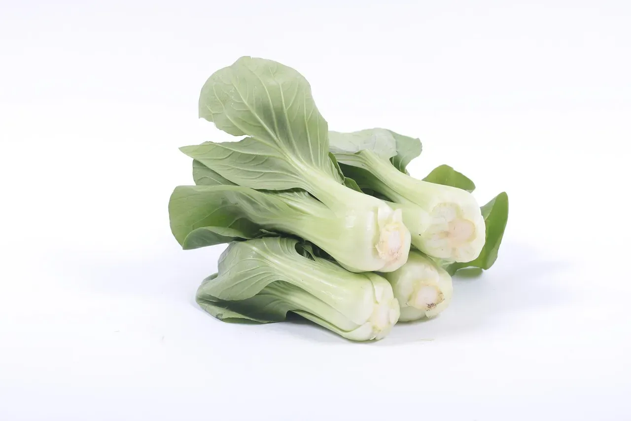 5. Bok Choy: The Raw Green That Sent One Woman to the ICU (Image Credits: Pixabay)