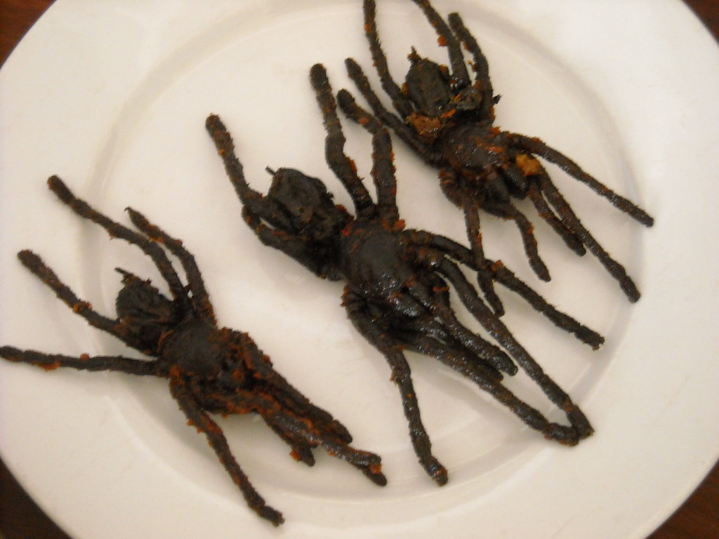 Fried Tarantulas - Southeast Asian Protein (image credits: flickr)