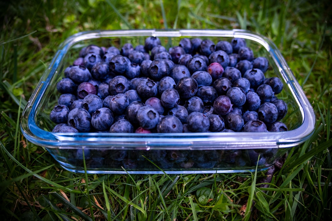 Nature's Sweet Medicine Cabinet (image credits: unsplash)