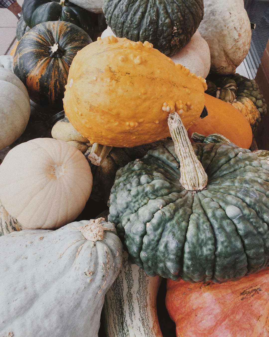 Creative Specials: Limited-Time Offers Using Discounted Ingredients (image credits: unsplash)