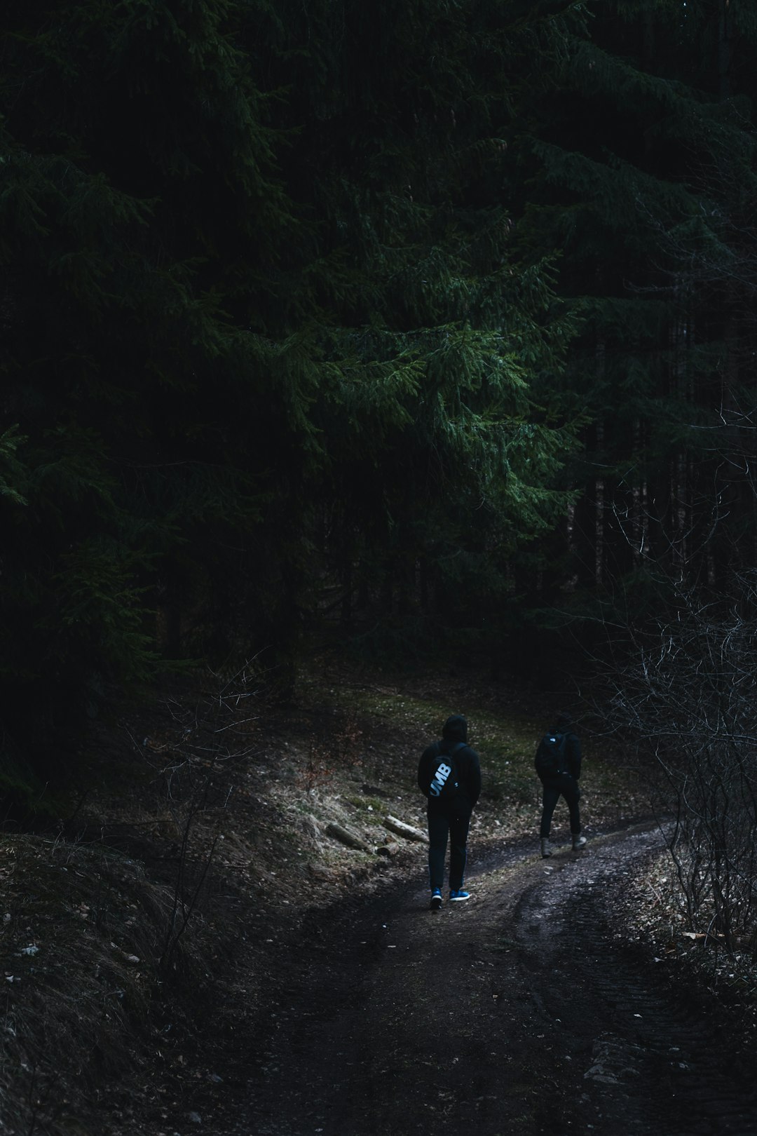 Hiking Trails and Outdoor Adventures (image credits: unsplash)