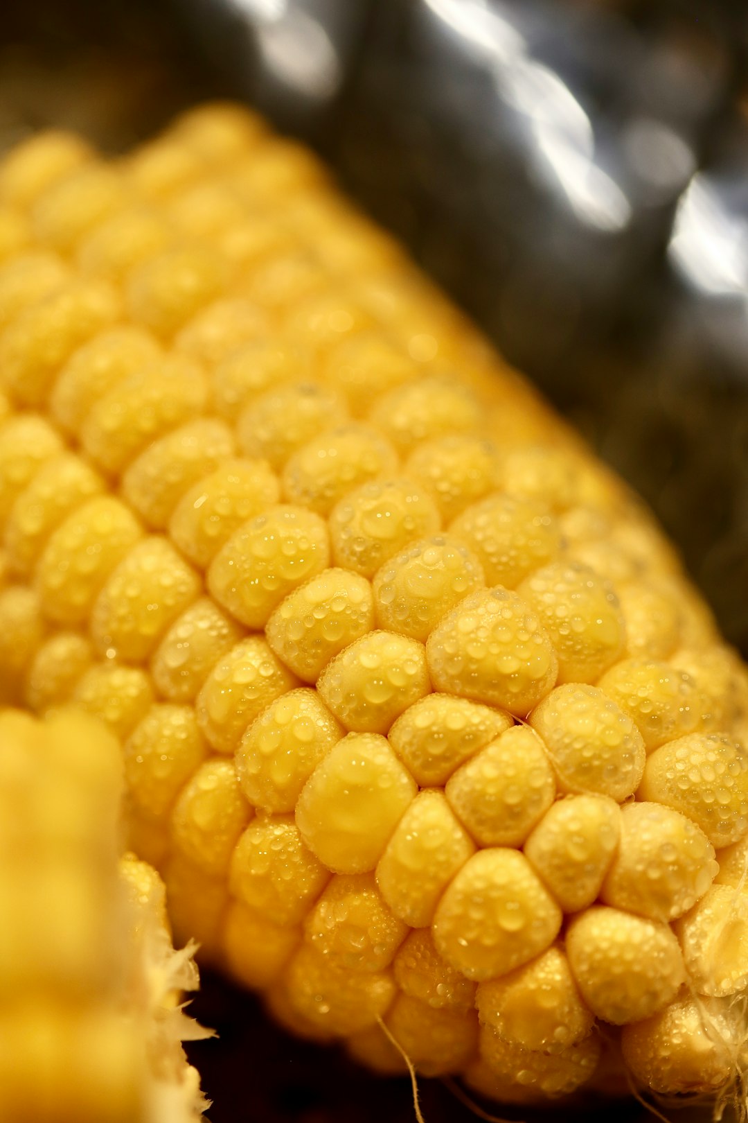 Sweet Corn: A Summertime Favorite at Risk (image credits: unsplash)