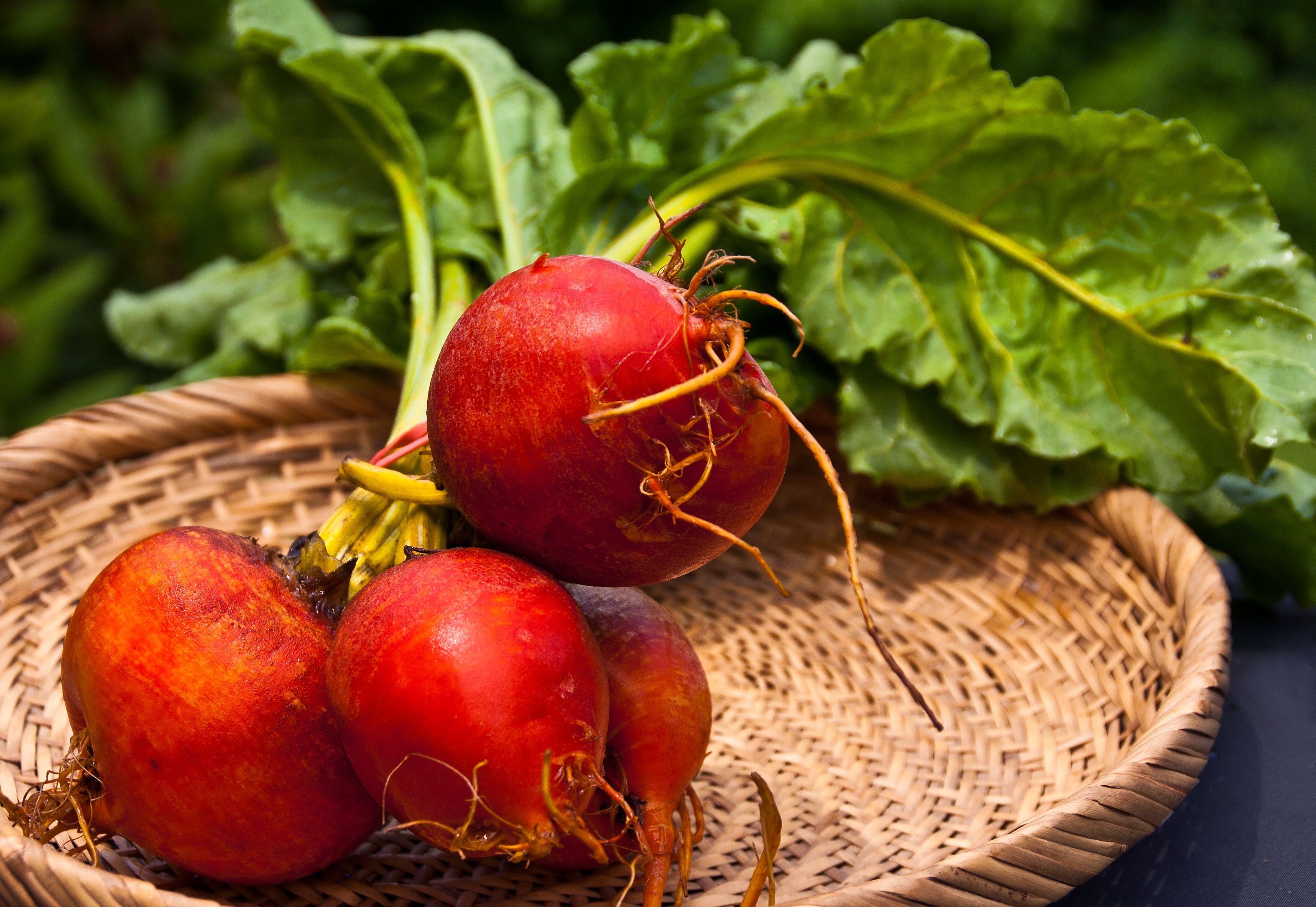 Beets: Nature’s Blood Pressure Buster (image credits: wikimedia)