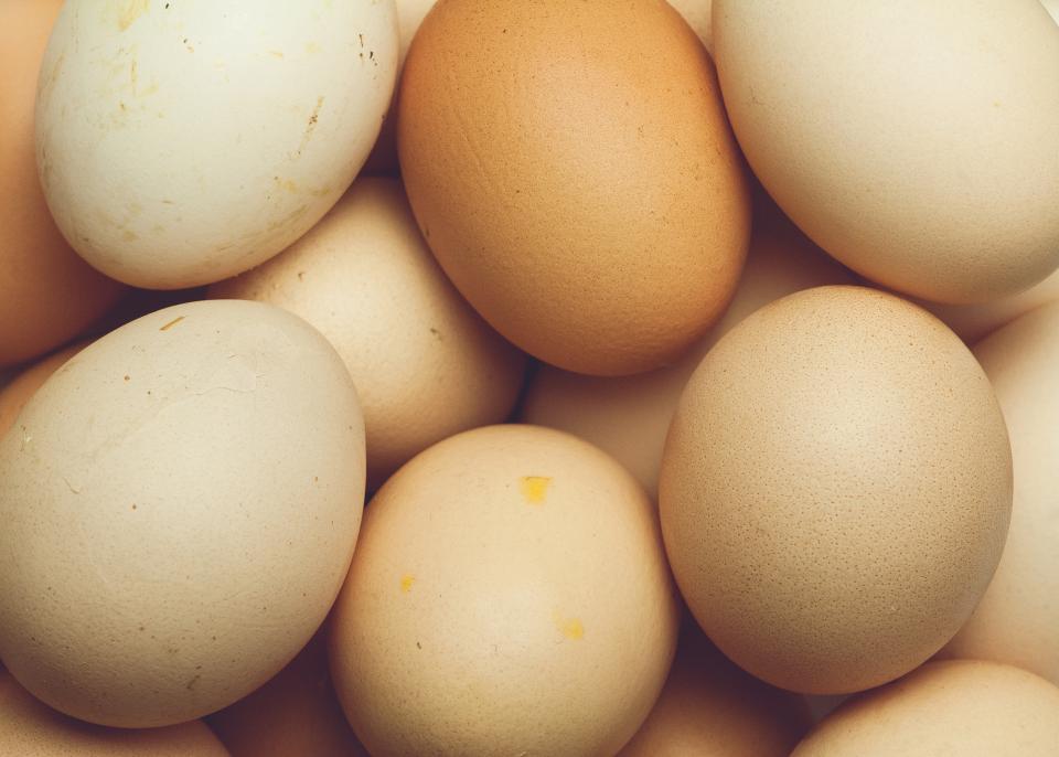 Eggs (image credits: stocksnap)