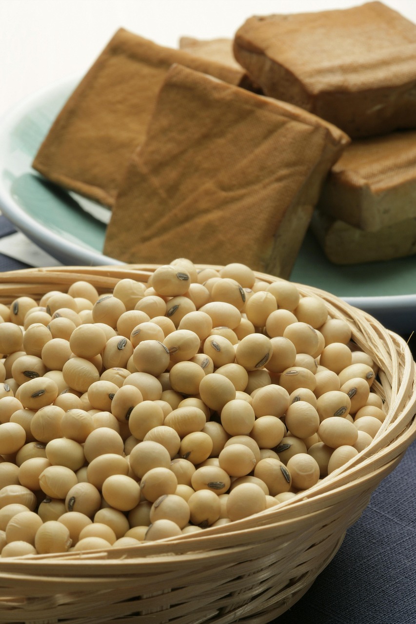 14. Fermented Soybeans (image credits: pixabay)