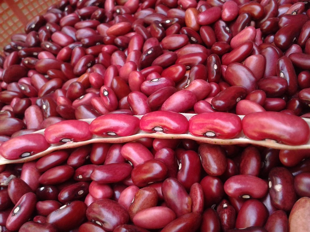 Kidney Beans: The Chili Champion (image credits: flickr)