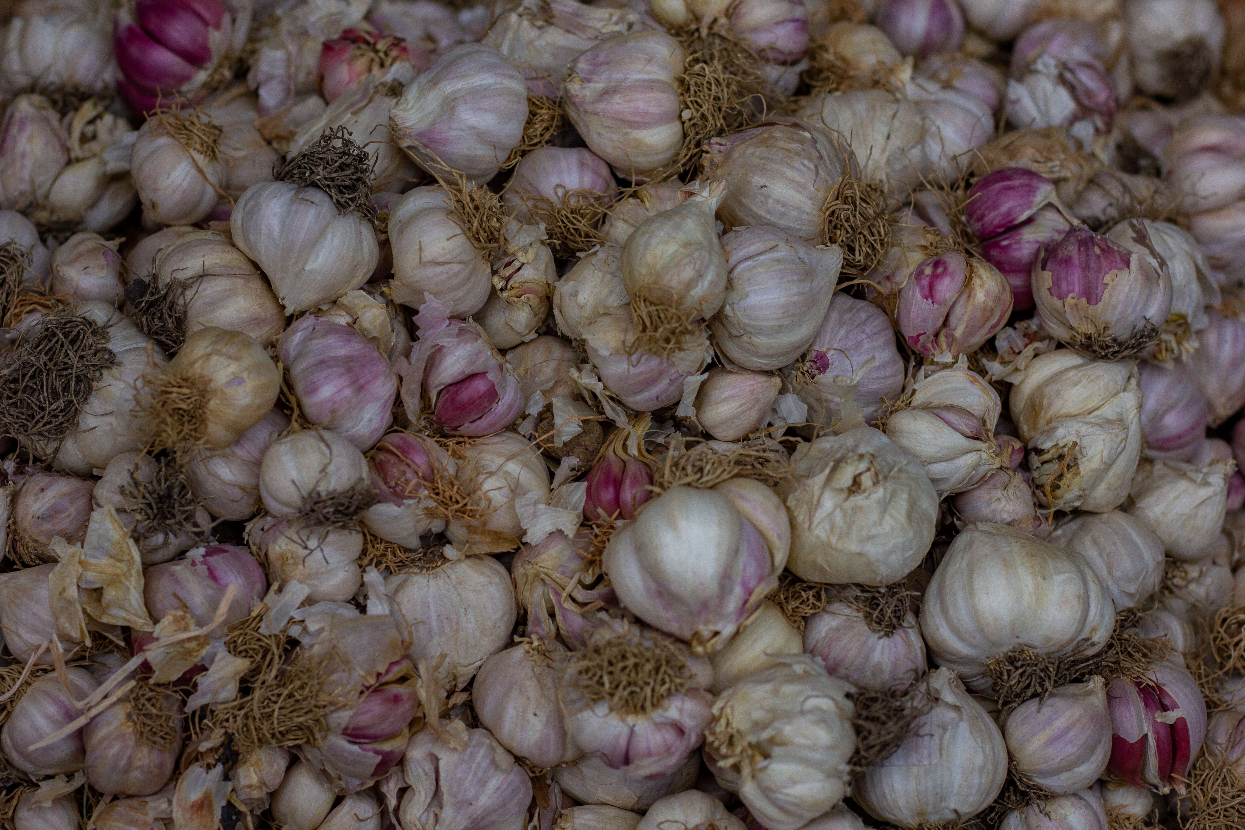 Garlic: The Natural Blood Pressure Reducer (image credits: wikimedia)
