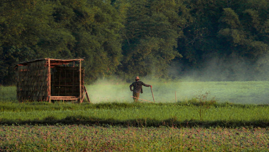 Fresh Produce Carries Invisible Pesticide Loads (image credits: unsplash)