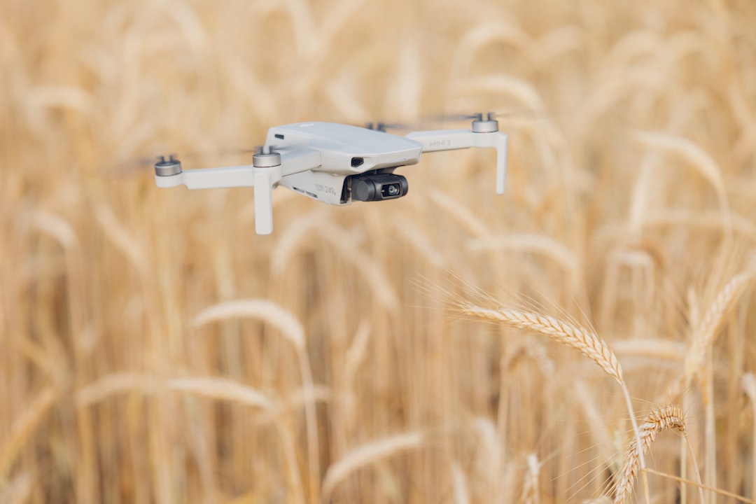 The Future: What's Coming Next (image credits: unsplash)