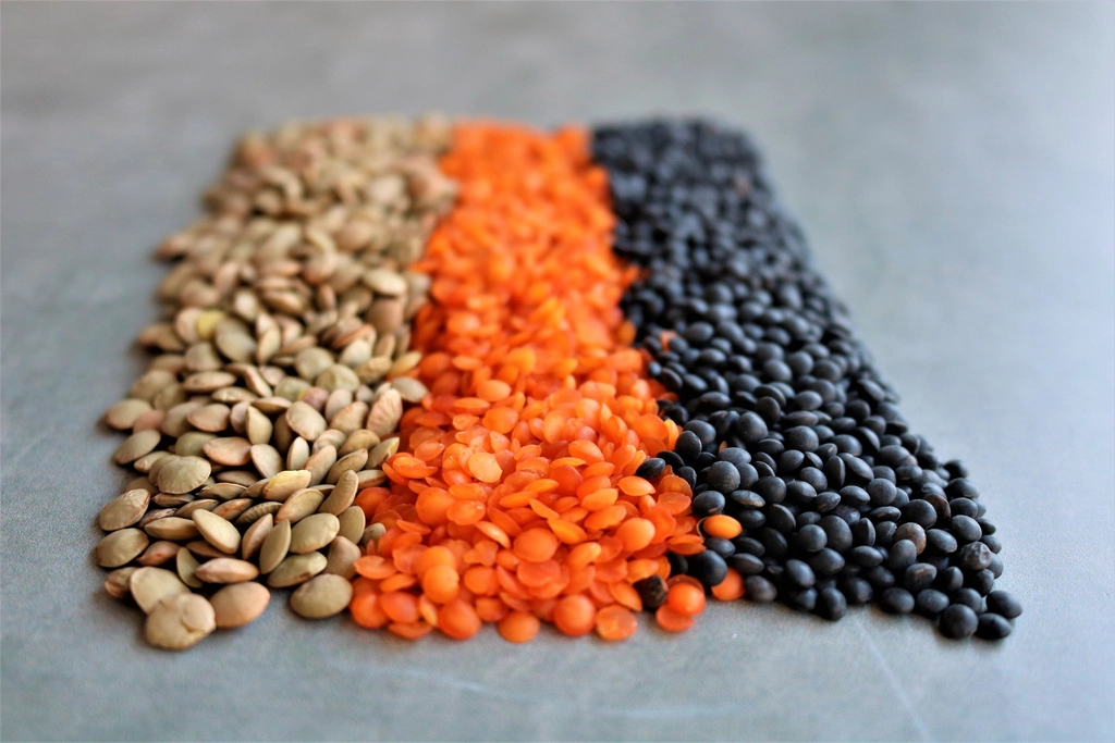 Legumes Lead the Plant Protein Movement (Image Credits: Rawpixel)