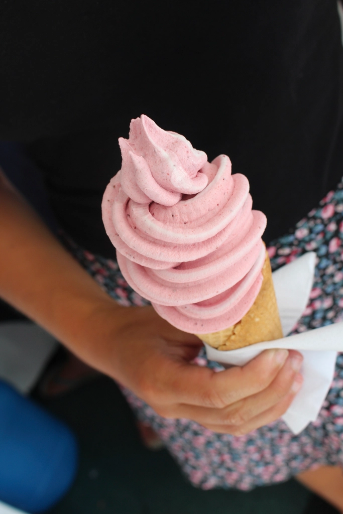 Ice Cream: Summer in a Scoop (image credits: rawpixel)