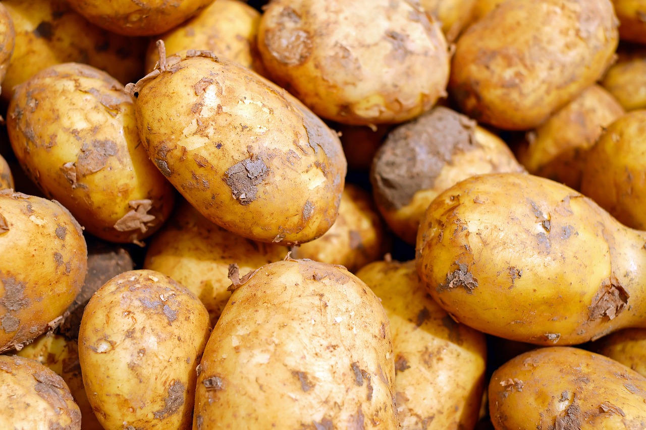 The Foundation: Complex Carbohydrates That Keep You Going (image credits: pixabay)