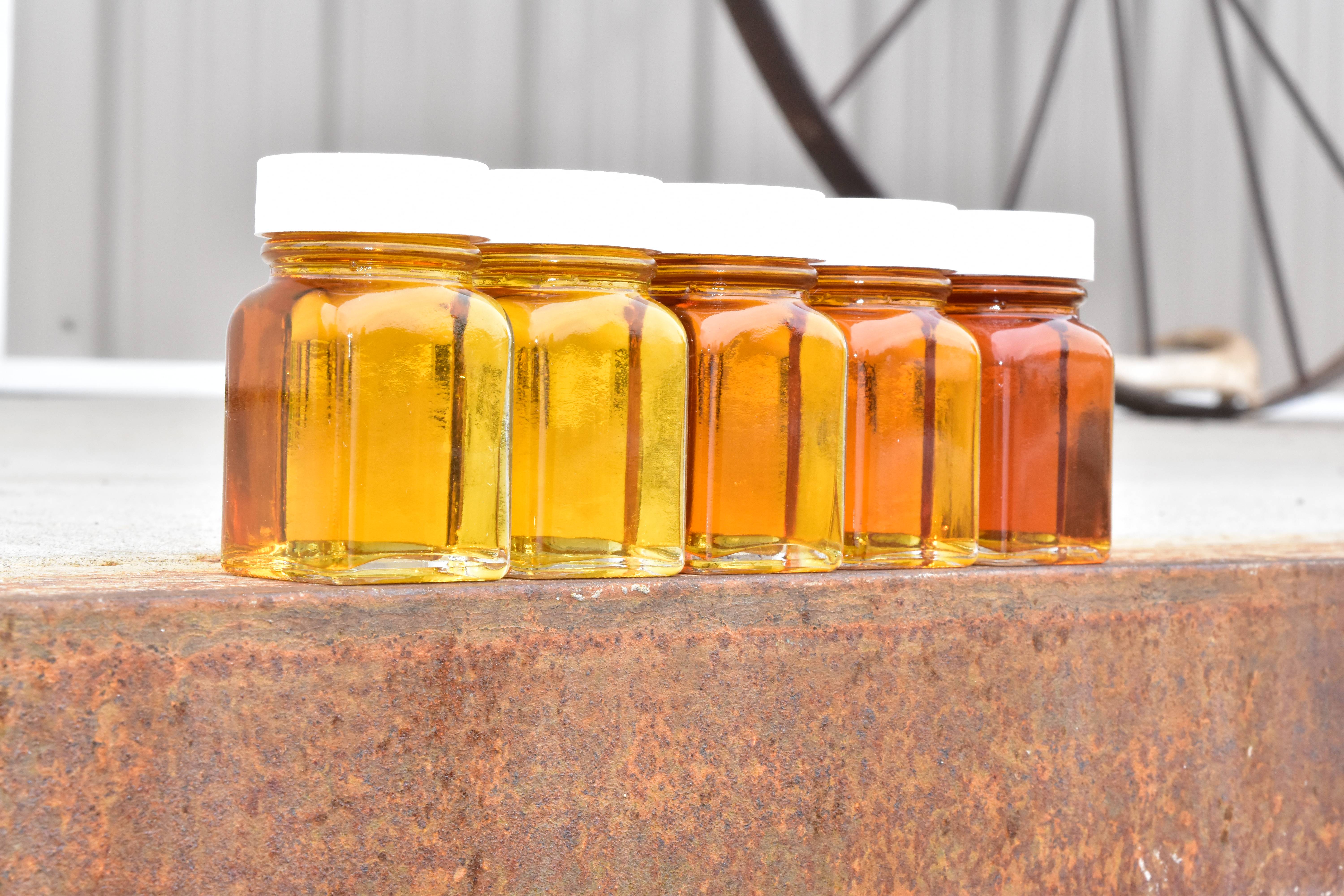 Maple Syrup Grades and Their Differences (image credits: wikimedia)