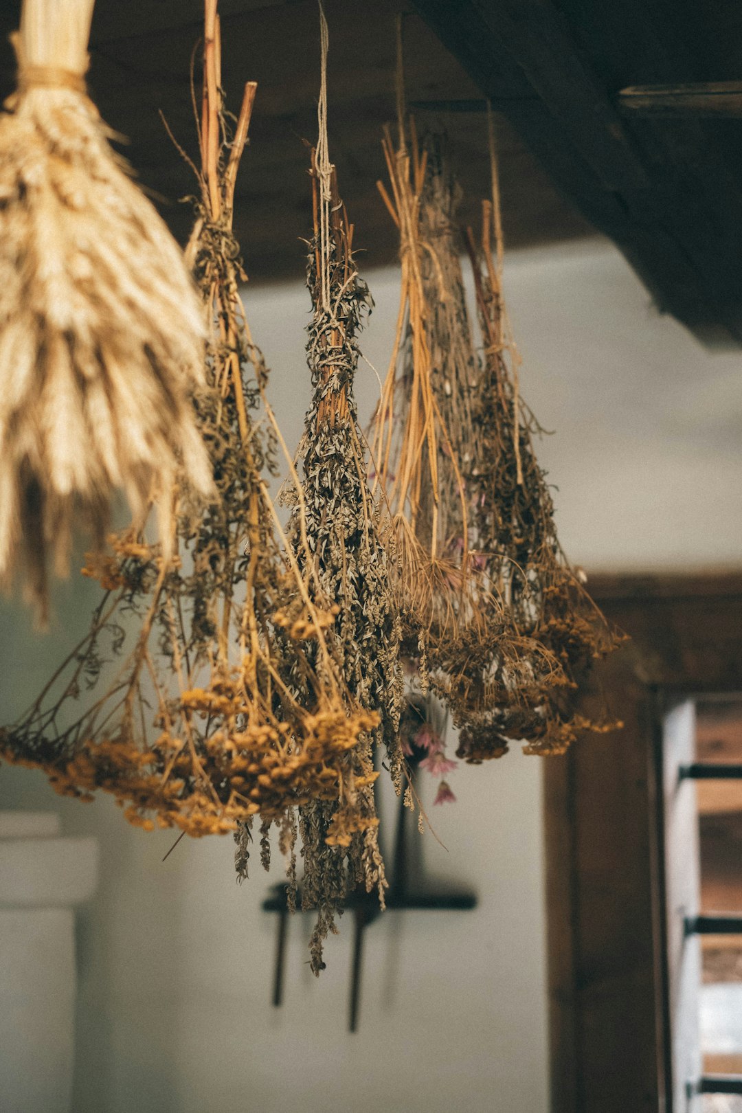 The Benefits of Dried Herbs (image credits: unsplash)