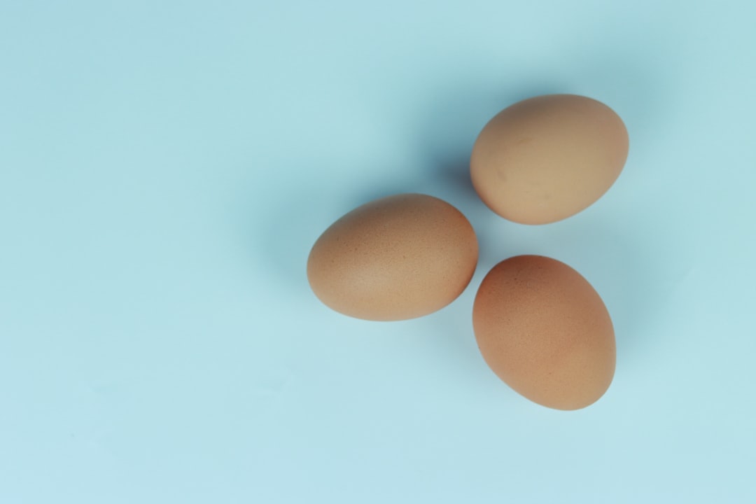 Eggs – The Perfect Protein Package (image credits: unsplash)