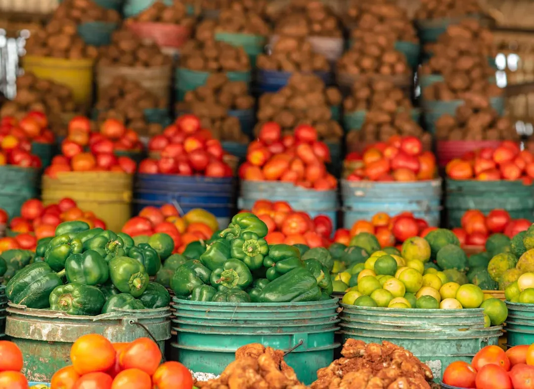Search for Traceability and Transparency Information (Image Credits: Unsplash)