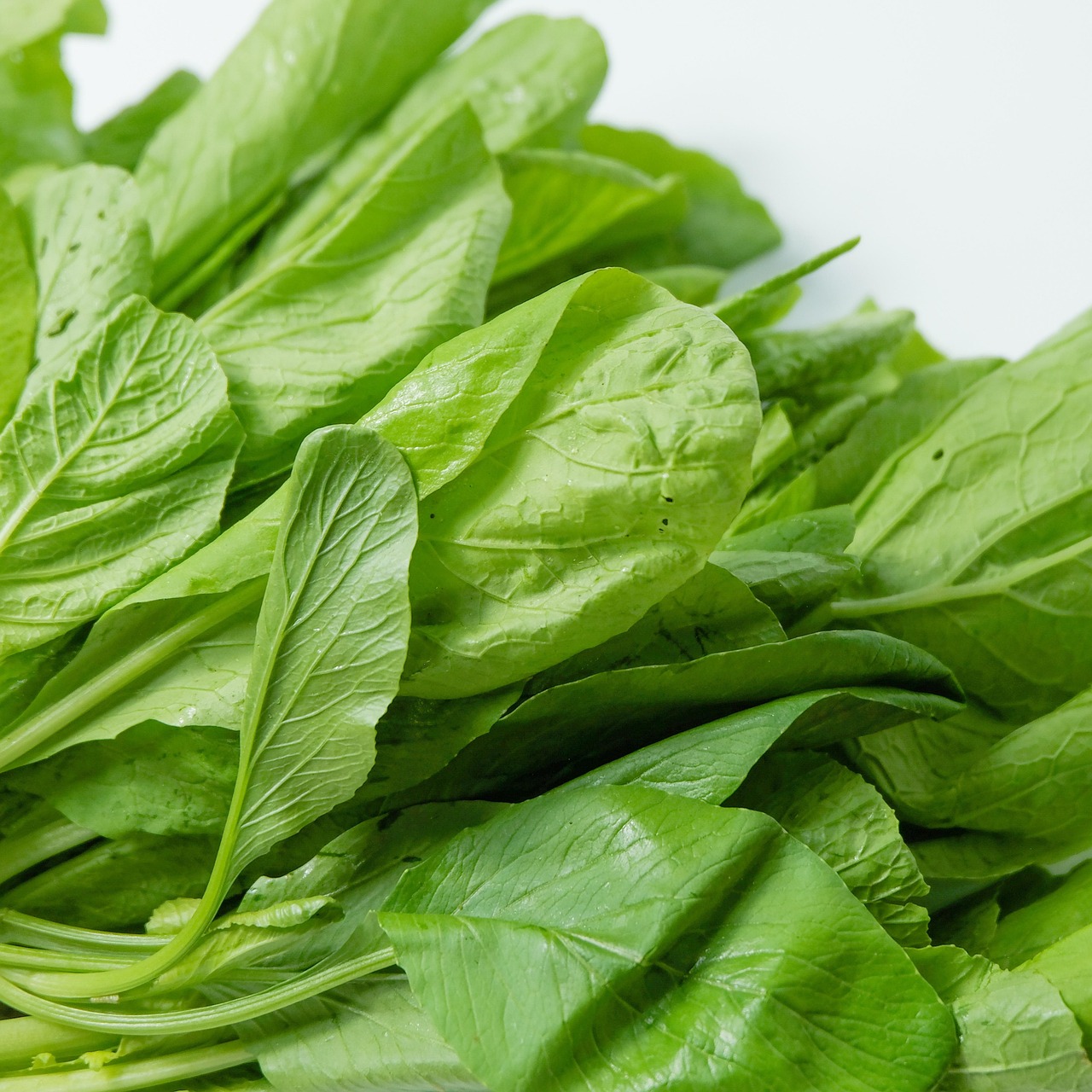 Spinach: The Leafy Green Elixir (image credits: pixabay)