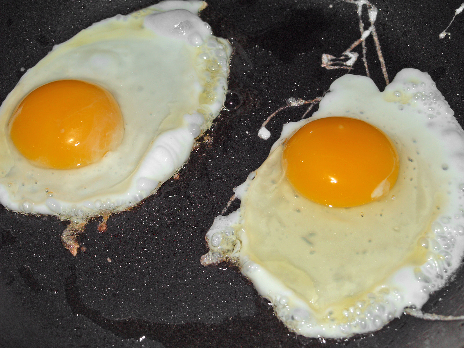 Eggs: Nature’s Multivitamin (image credits: wikimedia)