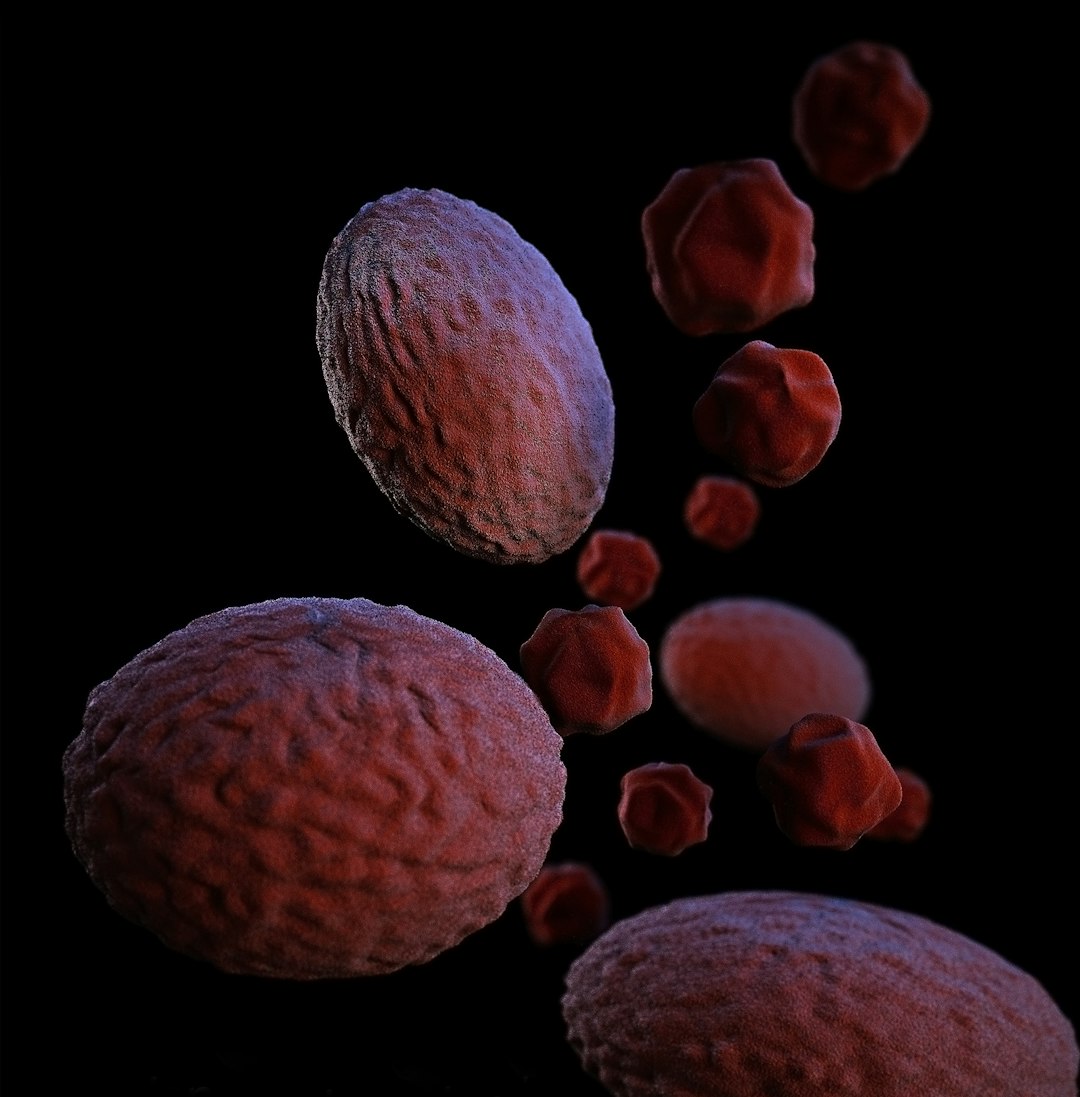 Recurring Infections or Slow Healing (image credits: unsplash)