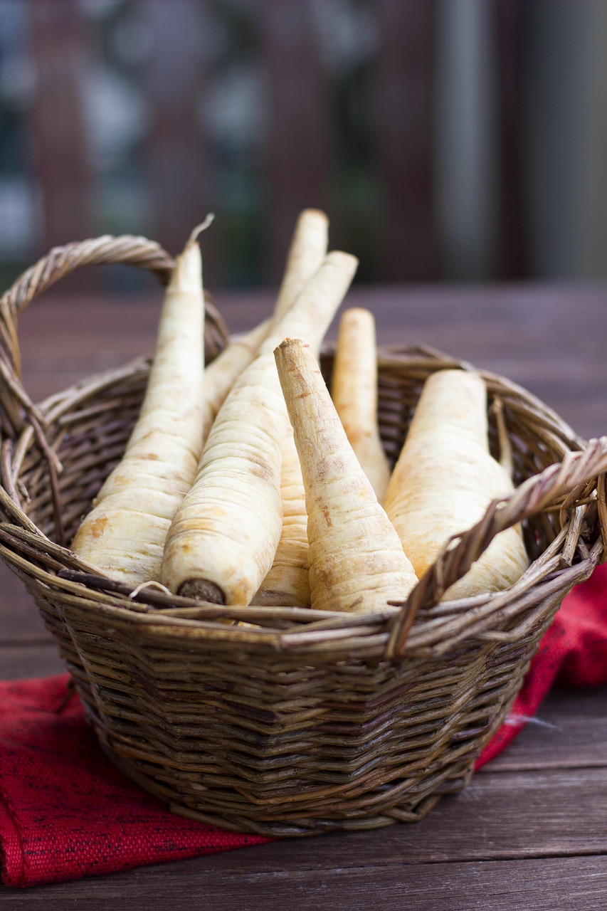 Parsnip: From Medieval Staple to Modern Rediscovery (image credits: pixabay)