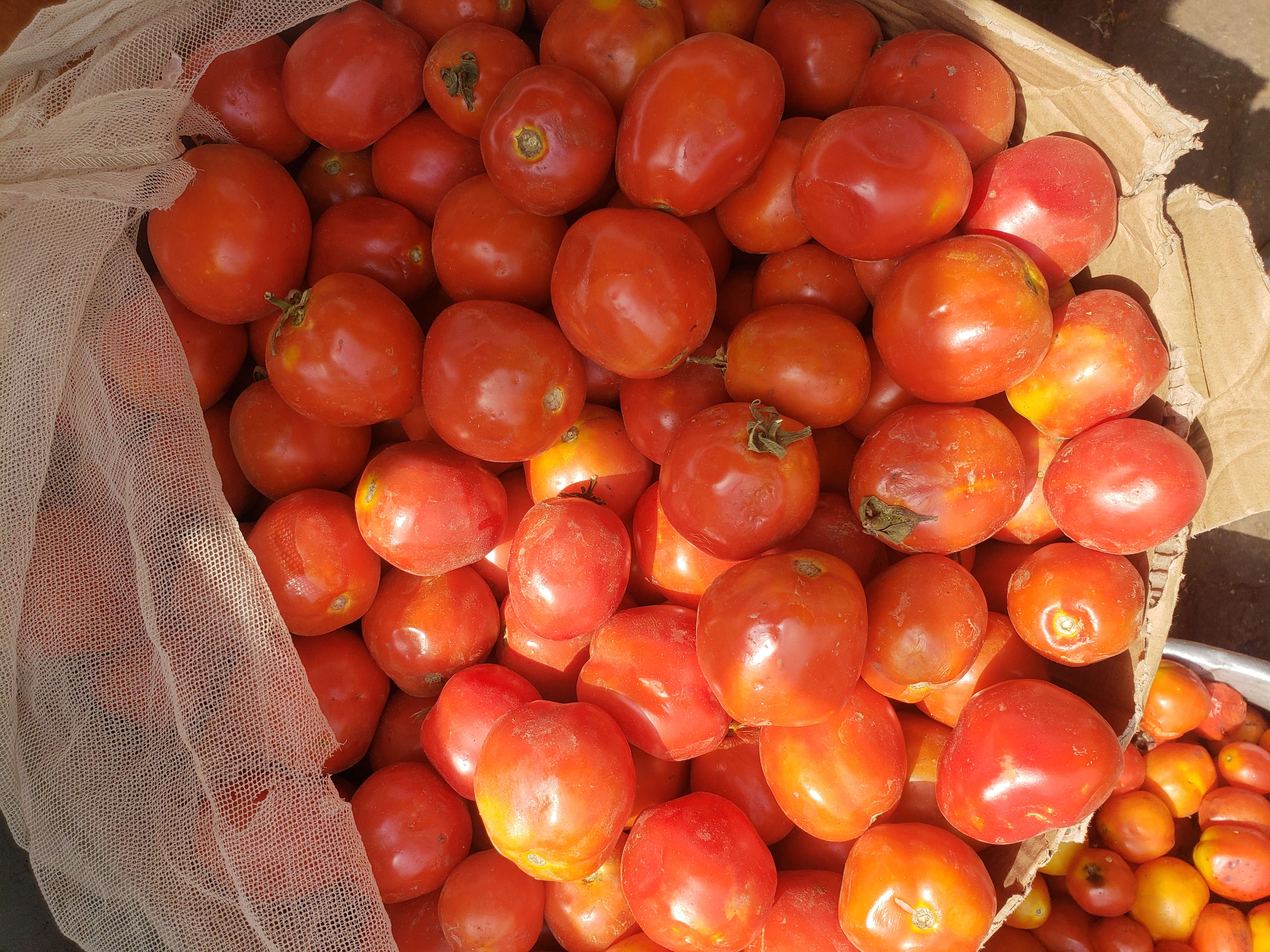 Cherries: Anthocyanins and Nighttime Blood Pressure (image credits: wikimedia)