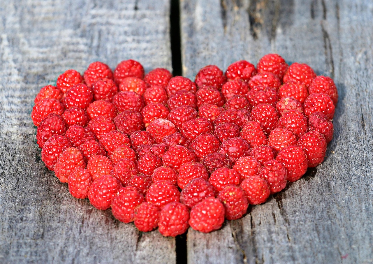 Berries (image credits: pixabay)