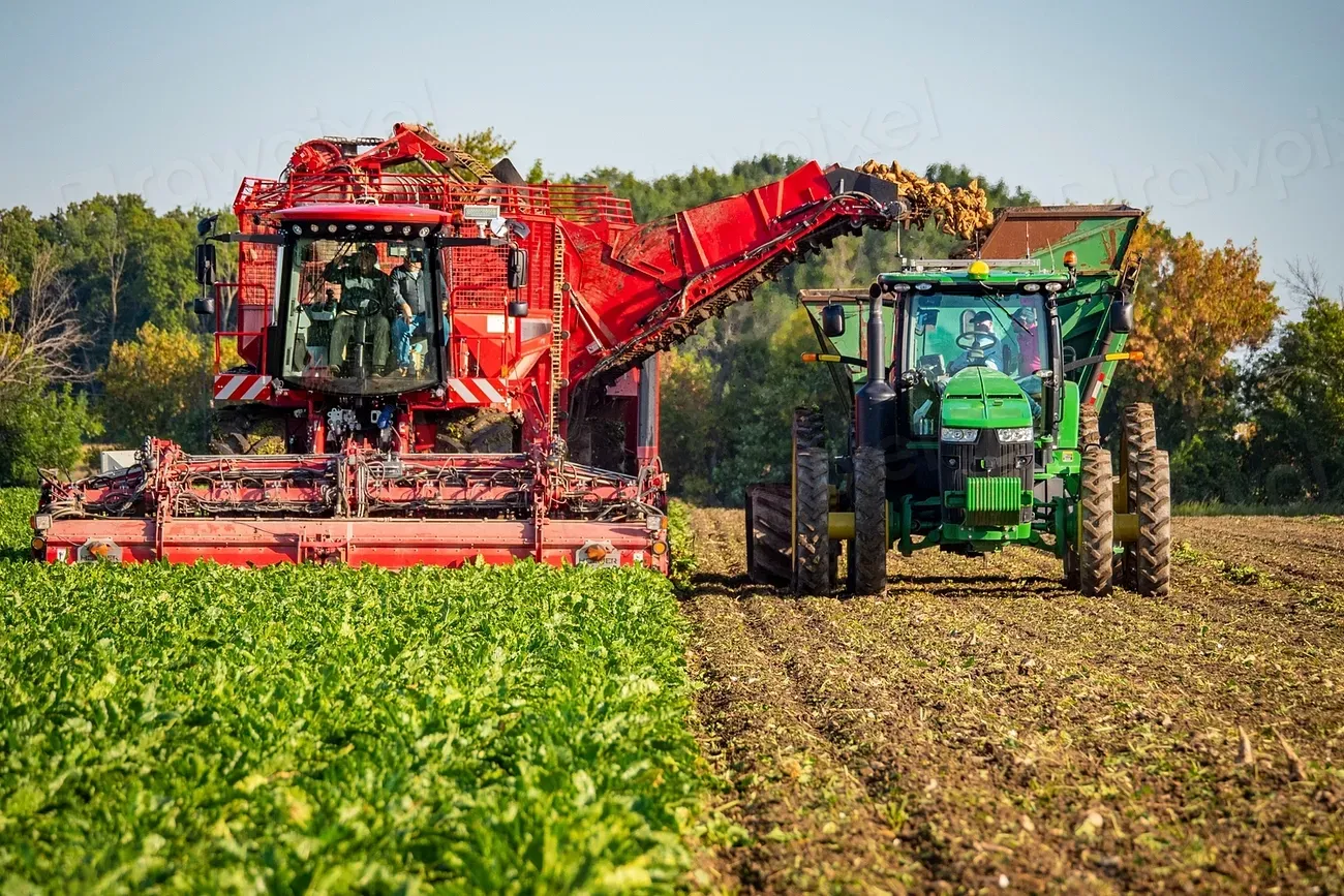 Agricultural Policies Pushed Maximum Production Over Quality (Image Credits: Rawpixel)