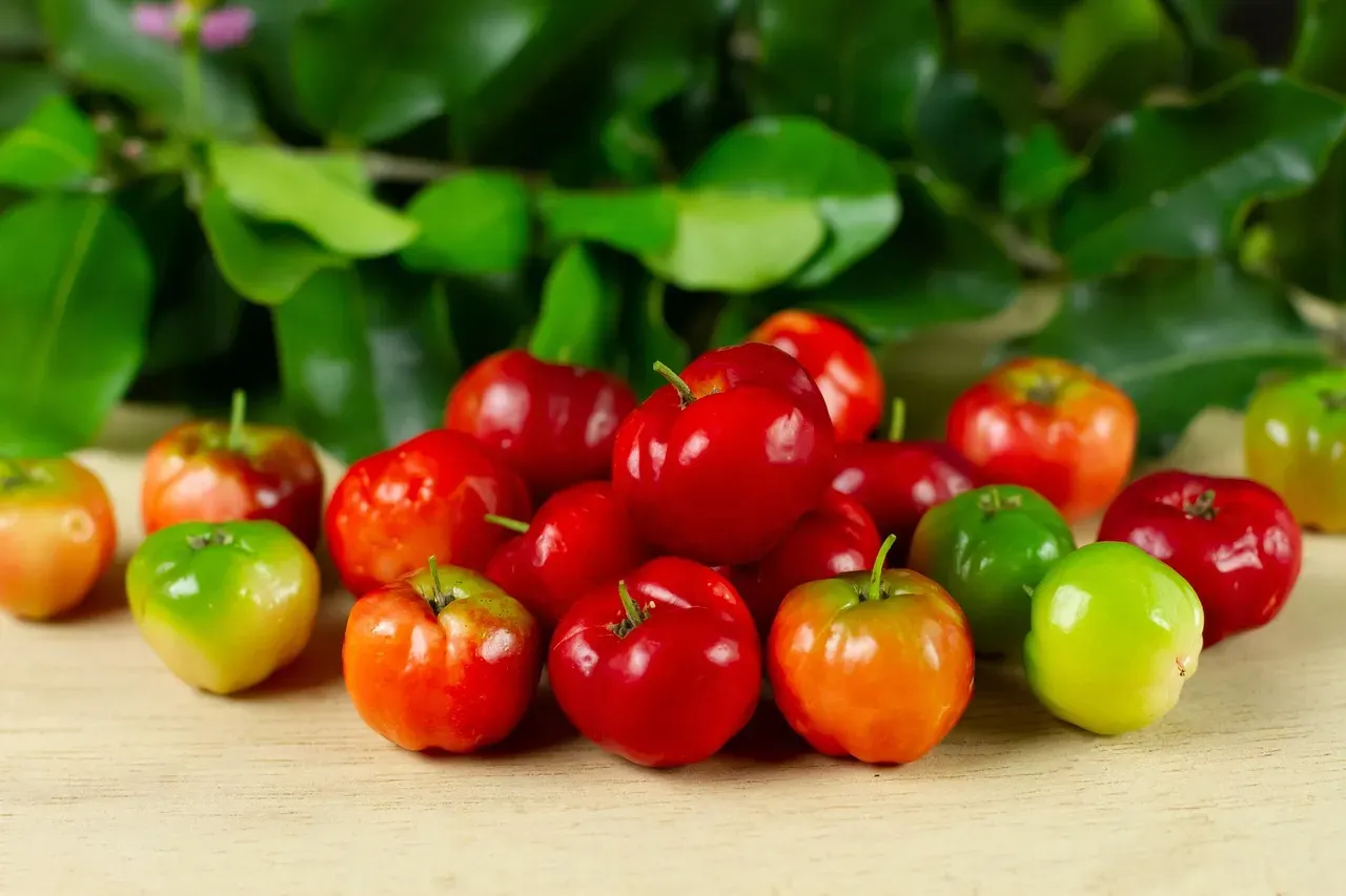 2. Acerola Cherry - The Tiny Tropical Powerhouse (Image Credits: Pixabay)