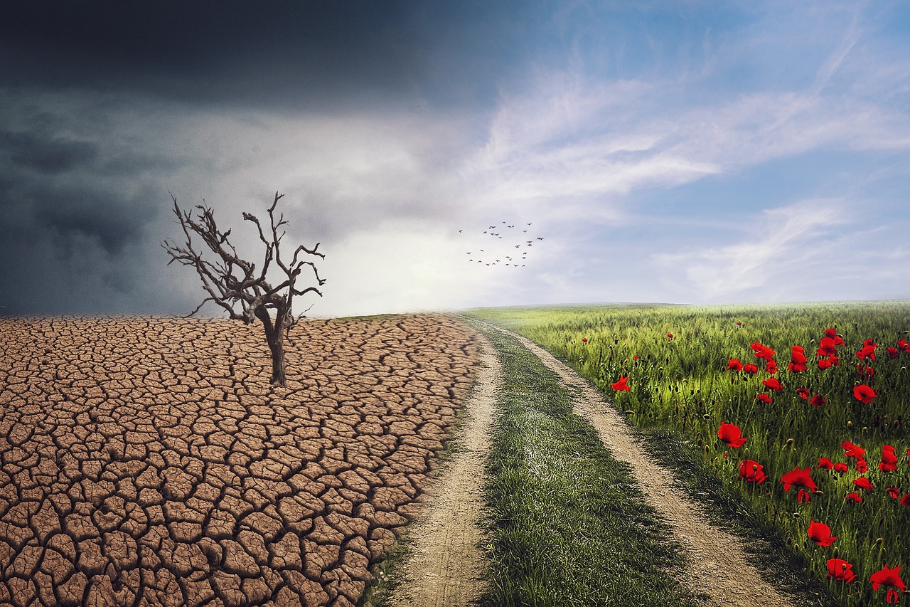 The Impact of Climate Change on Food Production (image credits: pixabay)