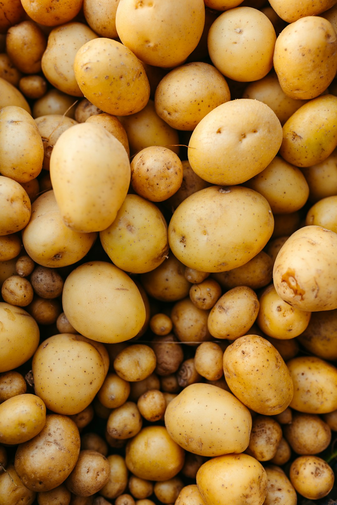 Potatoes That Could Vote if They Were People (image credits: unsplash)