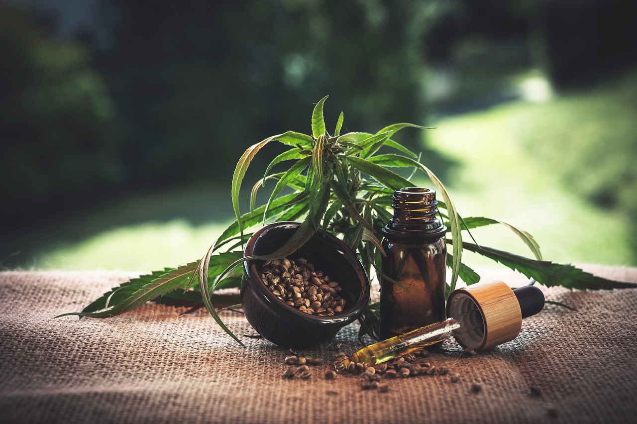 Hemp Seed Oil: The Trendy Oil with a Low Heat Tolerance (image credits: pixabay)
