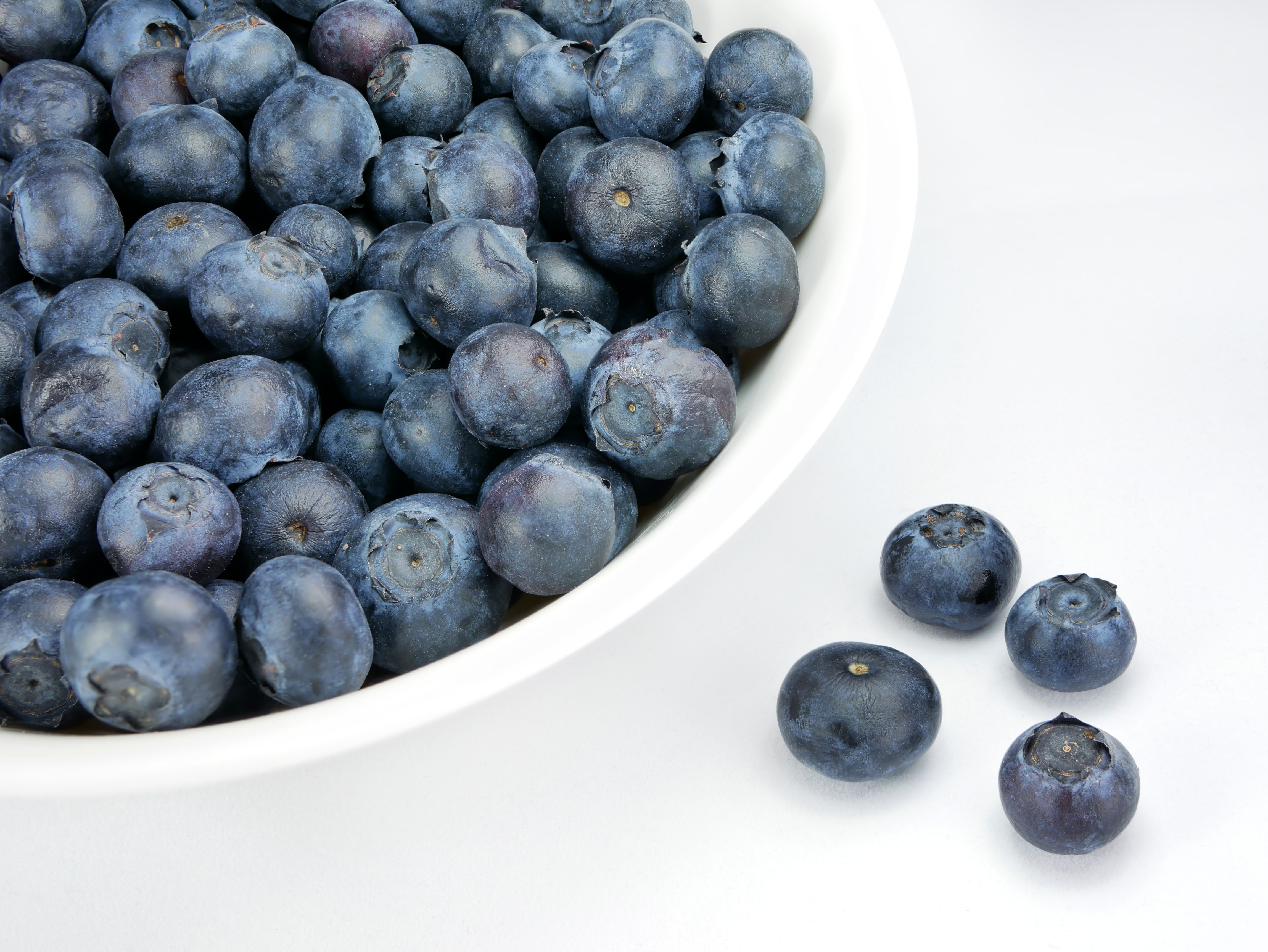 Blueberries (image credits: wikimedia)