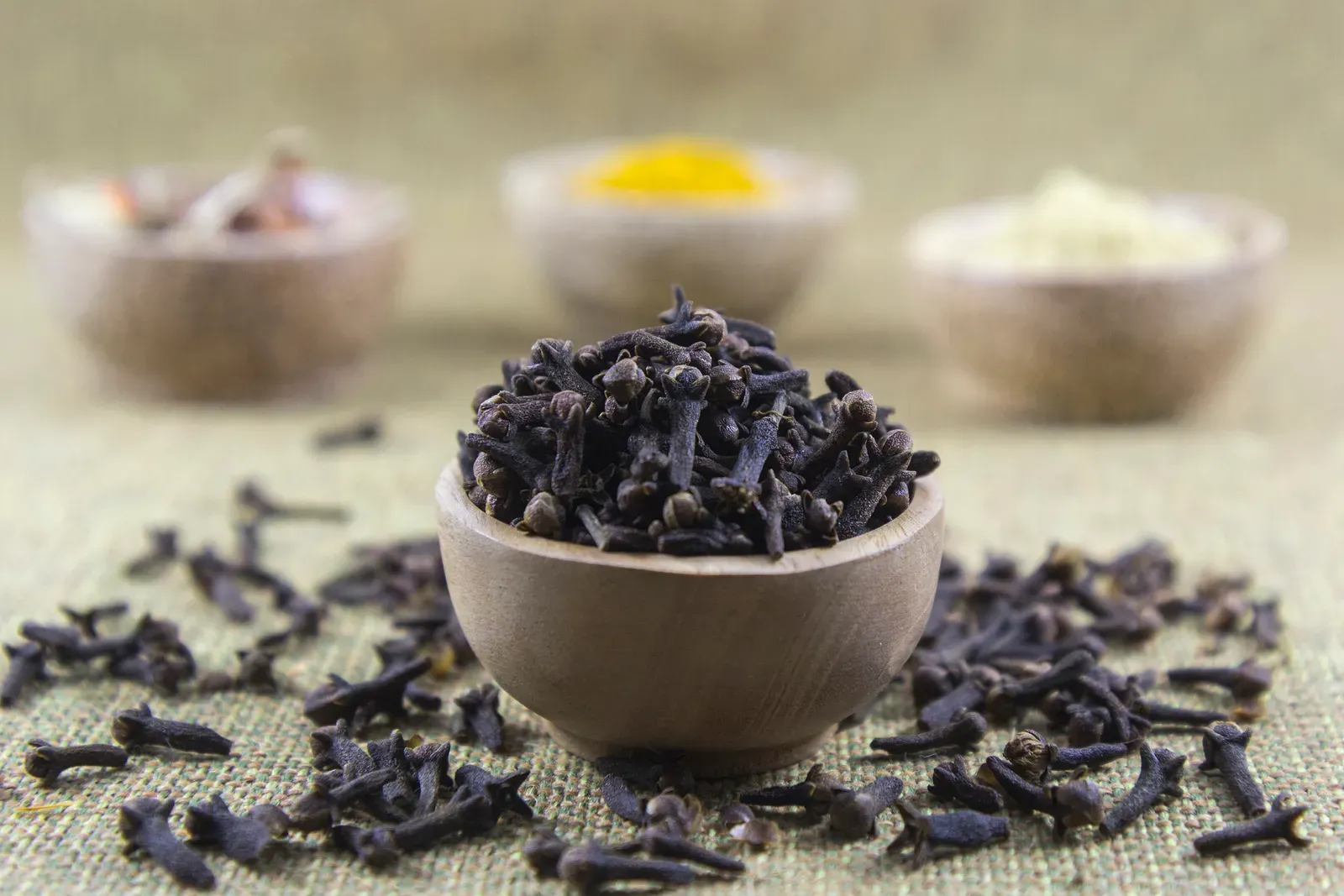 Cloves and Eugenol: The Dentist's Secret Spice (By Herusutimbul, CC BY-SA 4.0)