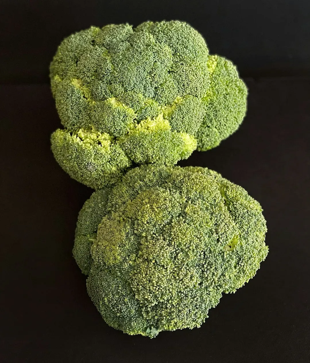 Broccoli: The Fiber Powerhouse (Image Credits: Unsplash)