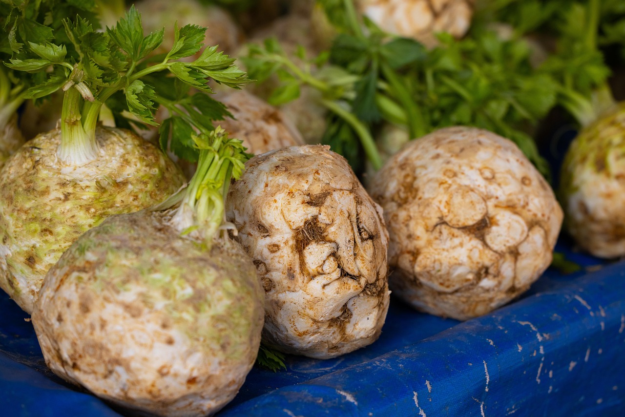 Celeriac Emerges from Culinary Obscurity (image credits: pixabay)