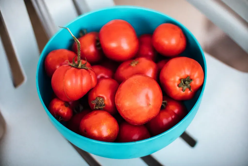 Why Room Temperature Storage Is Scientifically Superior (Image Credits: Flickr)