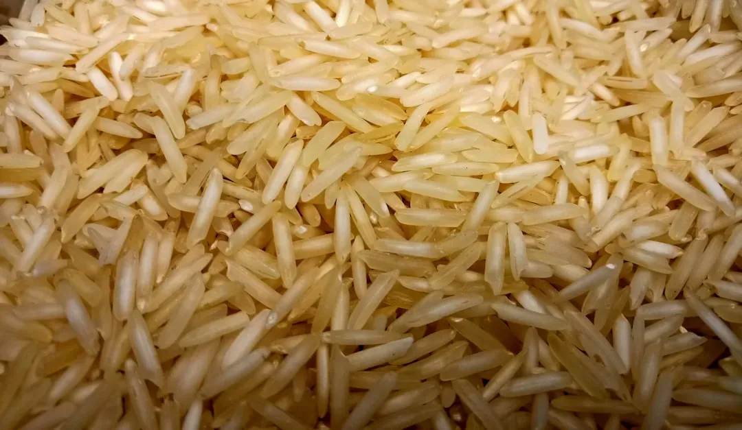 5. Rice (Image Credits: Unsplash)