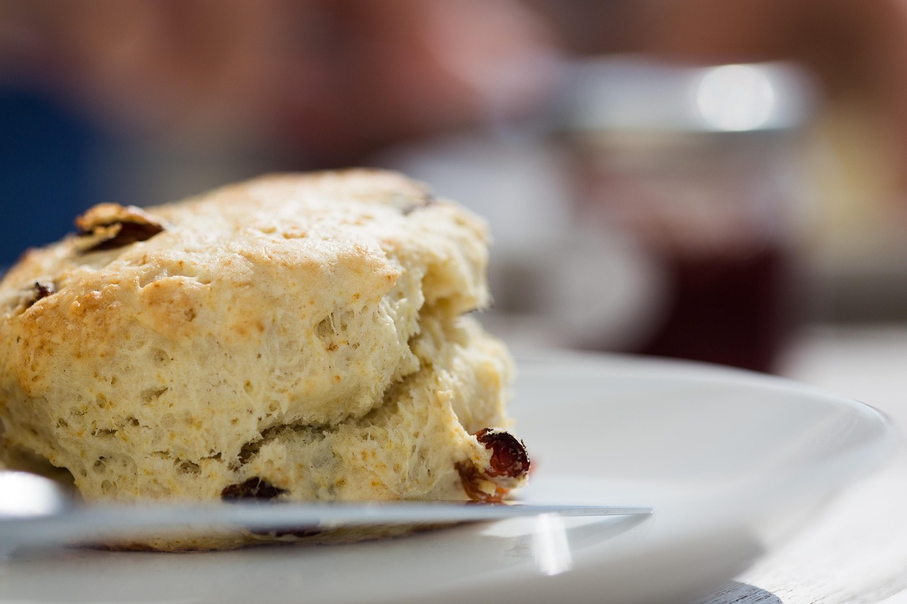 Cranberry Orange Scones for Elegant Mornings (image credits: pixabay)